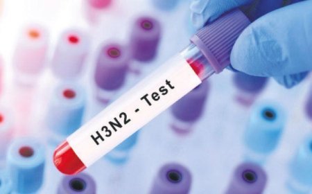 Gribin K varyantı ABD’de canlar aldı