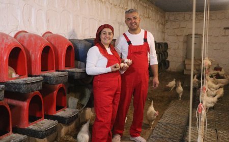 Şehir yaşamından sıkılan çift, 10 dönümlük çiftlik kurup doğal hayata döndü