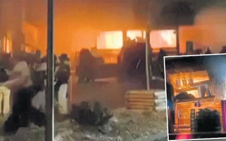 Sebebi, havai fişek mi?