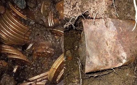 Köpeğini gezdirirken milyoner oldu! 'Topraktan altın fışkırdı, tam 10 milyon dolar değerinde'