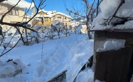 Karabük'te acı olay. Yaşlı kadın donarak öldü