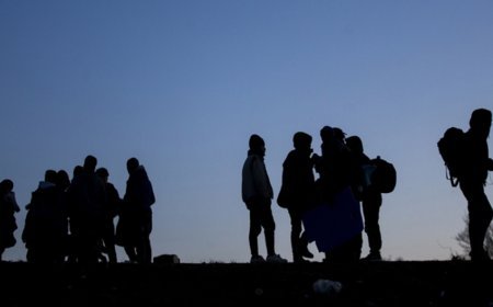 Edirne ve Kırklareli'ndeki denetimlerde 11 düzensiz göçmen yakalandı