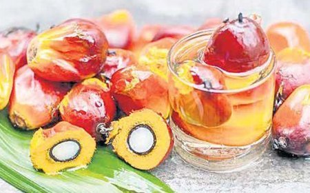 Palm yağına sıkı denetim