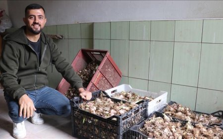 Adanalı girişimci, yetiştirdiği ak zambak soğanlarıyla ihracata hazırlanıyor