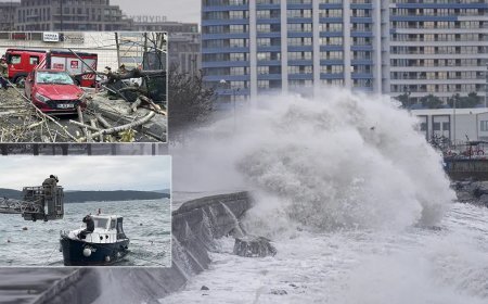 İstanbul'da lodos kabusu. Ağaçlar ve tekneler devrildi, dev dalgalar sahilleri dövdü
