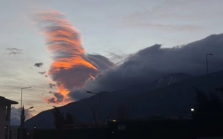 Bursa'da kuvvetli rüzgar hayatı olumsuz etkiliyor
