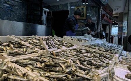 Tezgahta en çok bulunan balık. 100 liradan satışta