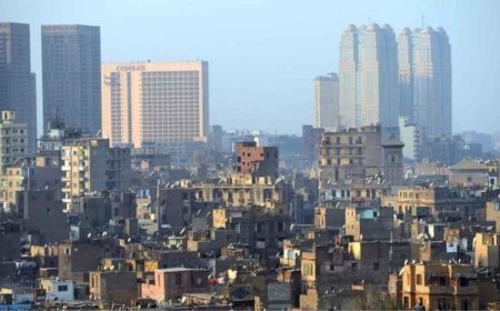 Bir ülkeyi istila ettiler, aynı türden Türkiye'de de var! Uzmanlar uyardı: Özellikle bu bölgelerde çoğalıyorlar