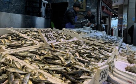 Trabzon'da balıkçı tezgahlarında hamsi ve istavrit ilgi görüyor