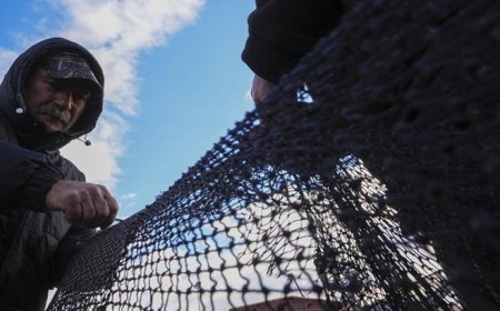 Yarısı tamamlanan av sezonunda hamsi ve sardalya yüz güldürdü