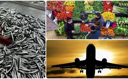 Aralık 2025'te fiyatı en çok düşen 'hava yoluyla yolcu taşımacılığı' oldu