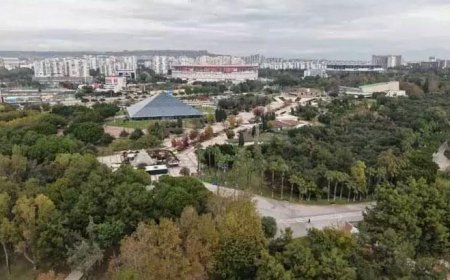 Milyar dolarlık arazi davasının avukatı: Ailesinde 'Süleyman' ismi bulan geliyor