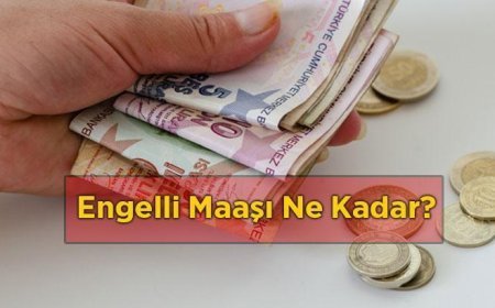 2026 Engelli Maaşı Ne Kadar? Engelli Aylığı Başvuru Şartları Nelerdir?
