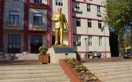 Aydın'da 'Hayır amaçlı domuz eti dağıtıldı' iddiası! Valilikten açıklama geldi