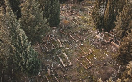 Gelibolu'da heyecan yaratan keşif! "Türk tarihi açısından yeni bir sayfa açıldı"