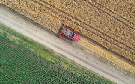 Tarıma dayalı projelerin tamamlanma tarihi belli oldu