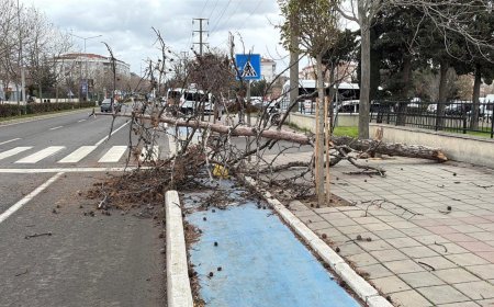 Tekirdağ'da fırtına!