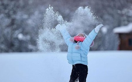Tunceli ve Muş'ta eğitime kar engeli! Valilik açıklama yaptı