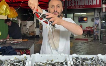 Tezgahta hareketlilik var, fiyatlar düşmeyecek. En çok tercih edilen tür