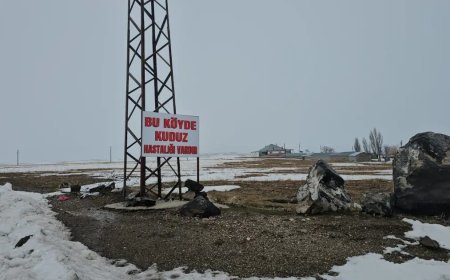 İlçe merkezine 33 kilometrede kuduz alarmı. Bir köy karantinada, giriş çıkışlar yasaklandı