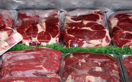 Mersin'de 500 kilogram bozuk et bulundu