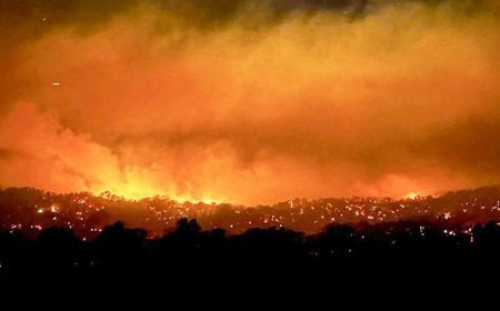 Avustralya alevlere teslim! 300 bin hektarlık alan yandı, 130 ev kül oldu