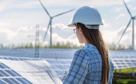 Yenilenebilir enerji istihdamı, küresel kurulumlardaki artışa rağmen ilk kez 2024'te ivme kaybetti