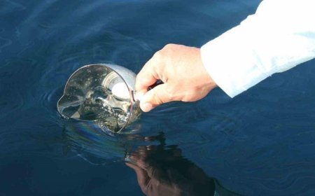 Karadeniz'de petrol sinyali! Yıllardır merak ediliyordu: Artık kesin!