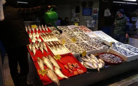 Tezgahta fırtına etkisi. Çeşit azaldı ama fiyat değişmedi