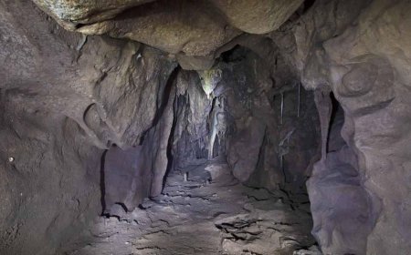 40 bin yıllık mühürlü oda açıldı! İçinde bulunanlar hayrete düşürdü