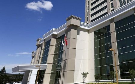 Lokman hekim geleneği dijitale taşındı