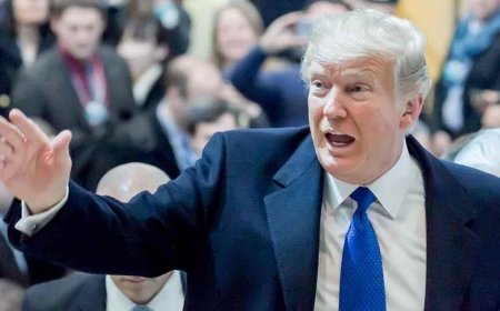 Avrupa'dan Trump'a Davos kıskacı! 'Caydırıcı bir kalkan olur'