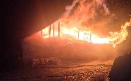 Yer: Adana! Sobadan çıkan yangın, evi küle çevirdi