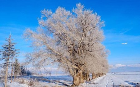 Sibirya soğukları geri döndü: Bir kent eksi 27,5 ile rekor kırdı