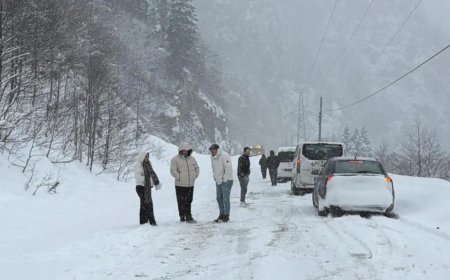 Trabzon'da çığ düştü. Karayolu ulaşıma kapandı