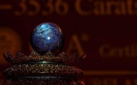 SON DAKİKA HABERLER: Değeri 2 yıl boyunca fark edilmedi, 400 milyon dolarlık servet olduğu ortaya çıktı! Dünyanın en büyüğü