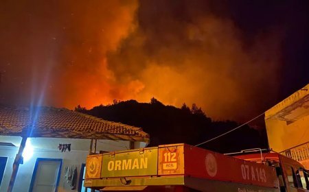 Antalya'da orman yangını. Bazı evler boşaltılıyor