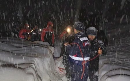 Giresun'da çığ altında kalan çoban hayatını kaybetti