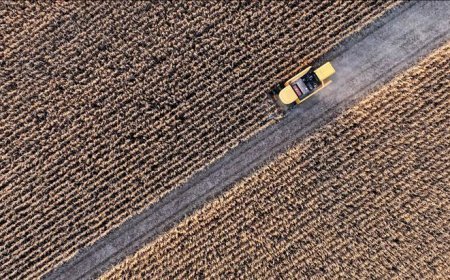 Tarımsal girdi fiyat endeksi yükseldi