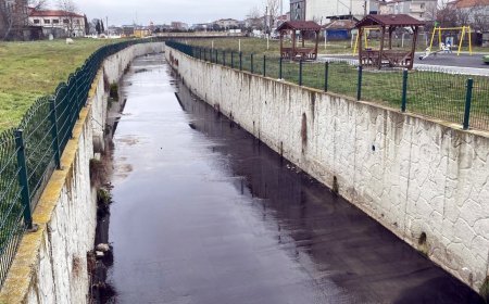Tekirdağ’da Karaağaç Deresi siyah renkte akmaya başladı