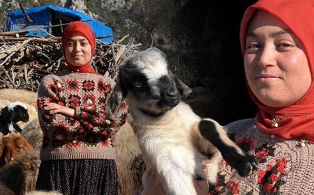 Hollandalılar hayatını izliyor! Hayvanları otlatırken üniversiteyi kazandı: Genimizde var