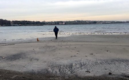 Tekirdağ'da deniz 50 metre çekildi