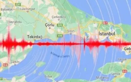 Marmara fayına ilişkin çarpıcı çalışma. Tek seferde değil parça parça kırılacak!