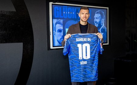 Edin Dzeko Schalke'de!
