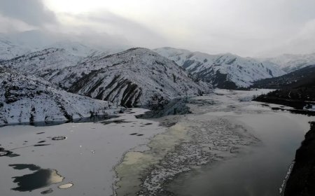 Erzincan'da baraj dondu, balık kafesleri buzlar altında kaldı