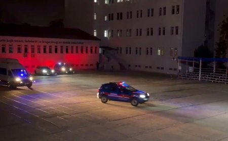 17 ilde siber suçlulara darbe. Çok sayıda kişi tutuklandı