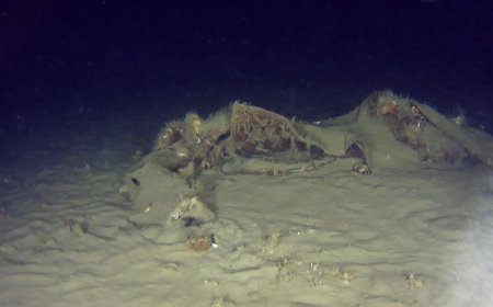 50 yıllık sır çözülüyor! Marmara Denizi'nde bulundu