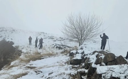 Diyarbakır'da kaybolan Nimet Kılıç'tan dört gündür haber yok