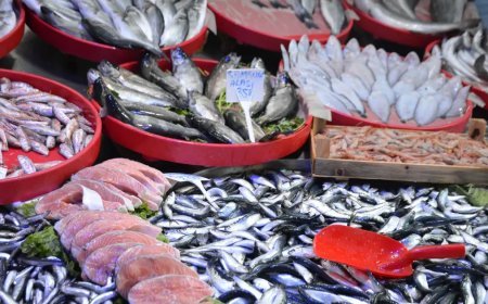 Bu yıl tezgahların yıldızı oldu. Fiyatı 150-250 TL arasında değişiyor