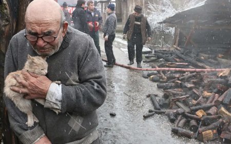 Tek kare fotoğrafla Türkiye tanımıştı. Ali Meşe hayatını kaybetti